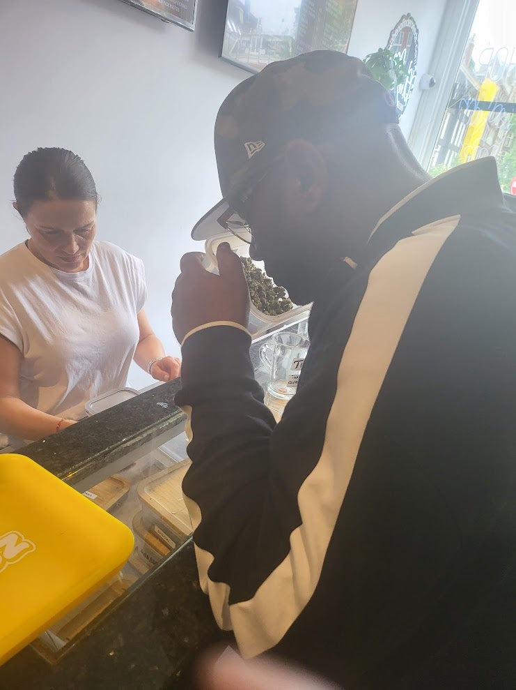 JetLife Vacations Travel Agency 