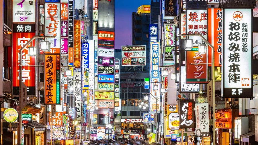 Tokyo and Vietnam July 3rd- 11th 2024 - JetLife Vacations Travel Agency