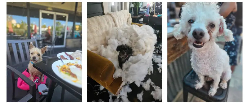 JetLife Vacations + Affirm: Book in 3 Steps, Travel Like a Boss