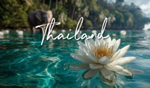 JetLife Vacations Travel Agency