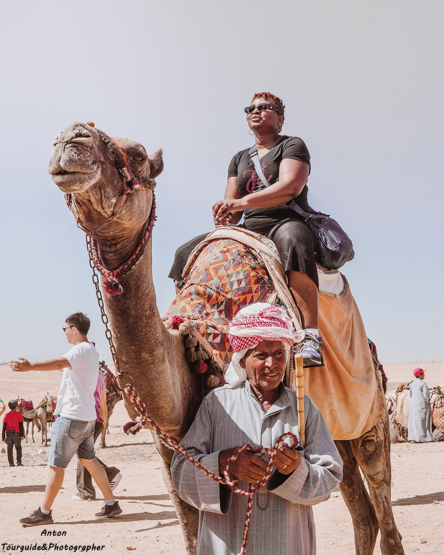 Egypt 2017 Past Guests