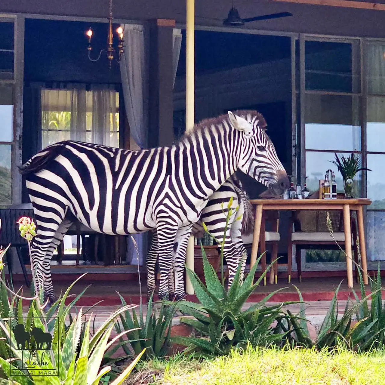 Lalashe Ripoi – Premium Luxury - JetLife Vacations Travel Agency