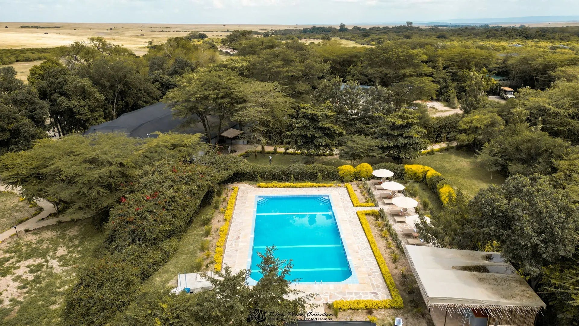 Zebra River Camp – Luxury | JetLife x Rob The Ranger JetLife Vacations Travel Agency