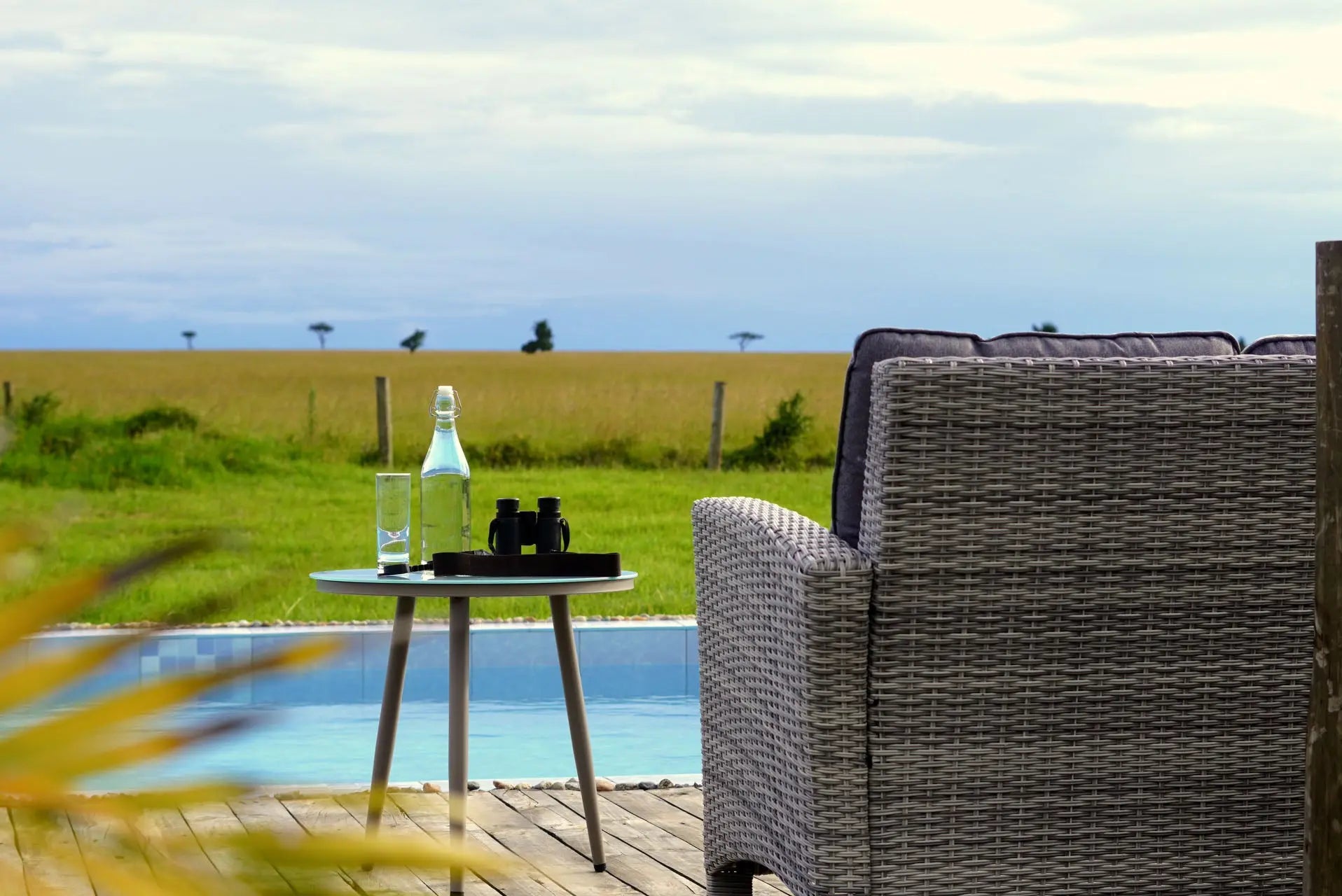 Zebra Mara Lemek Kenya Safari  – Premium Luxury - JetLife Vacations Travel Agency