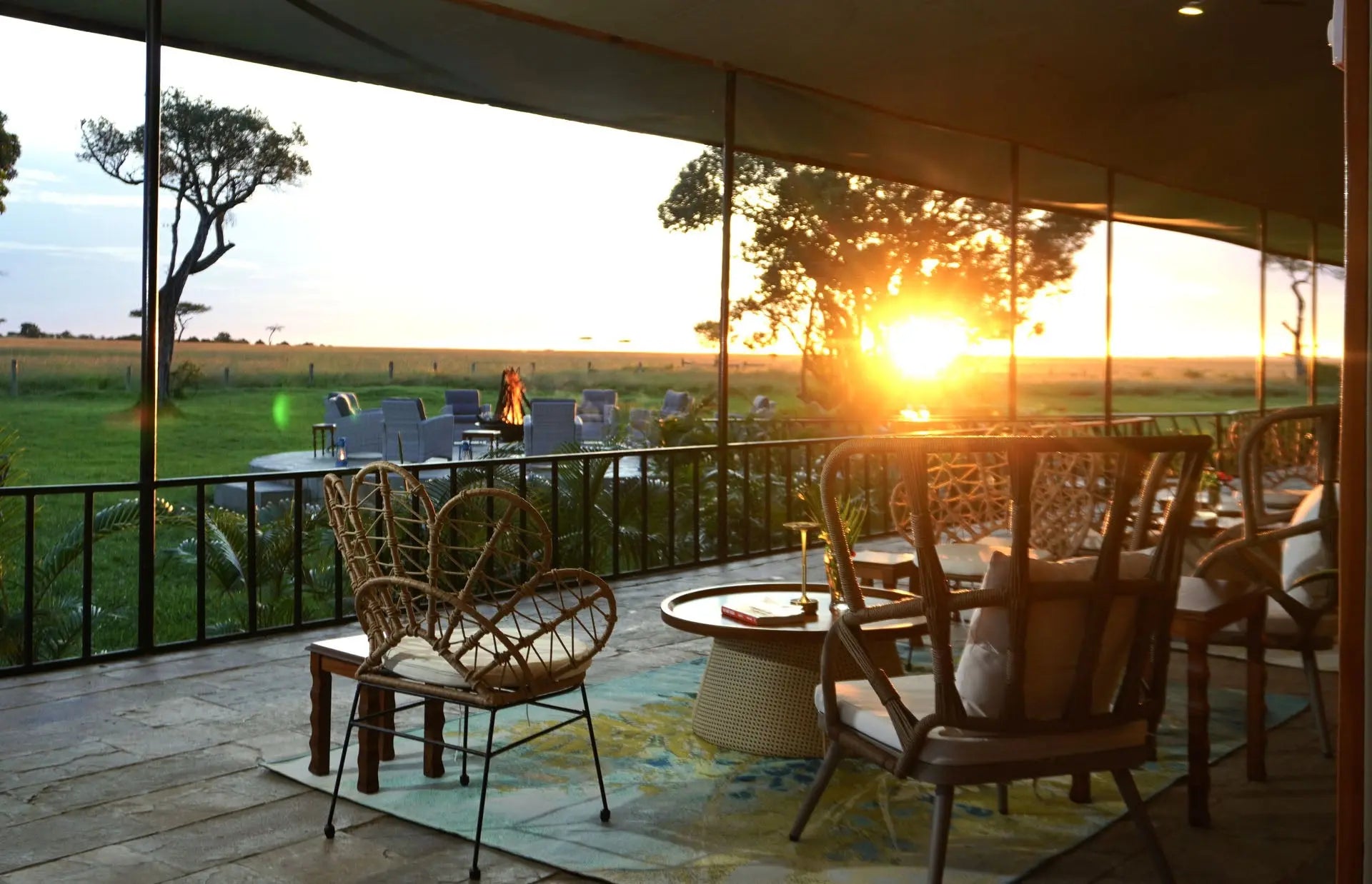 Zebra Mara Lemek Kenya Safari  – Premium Luxury - JetLife Vacations Travel Agency