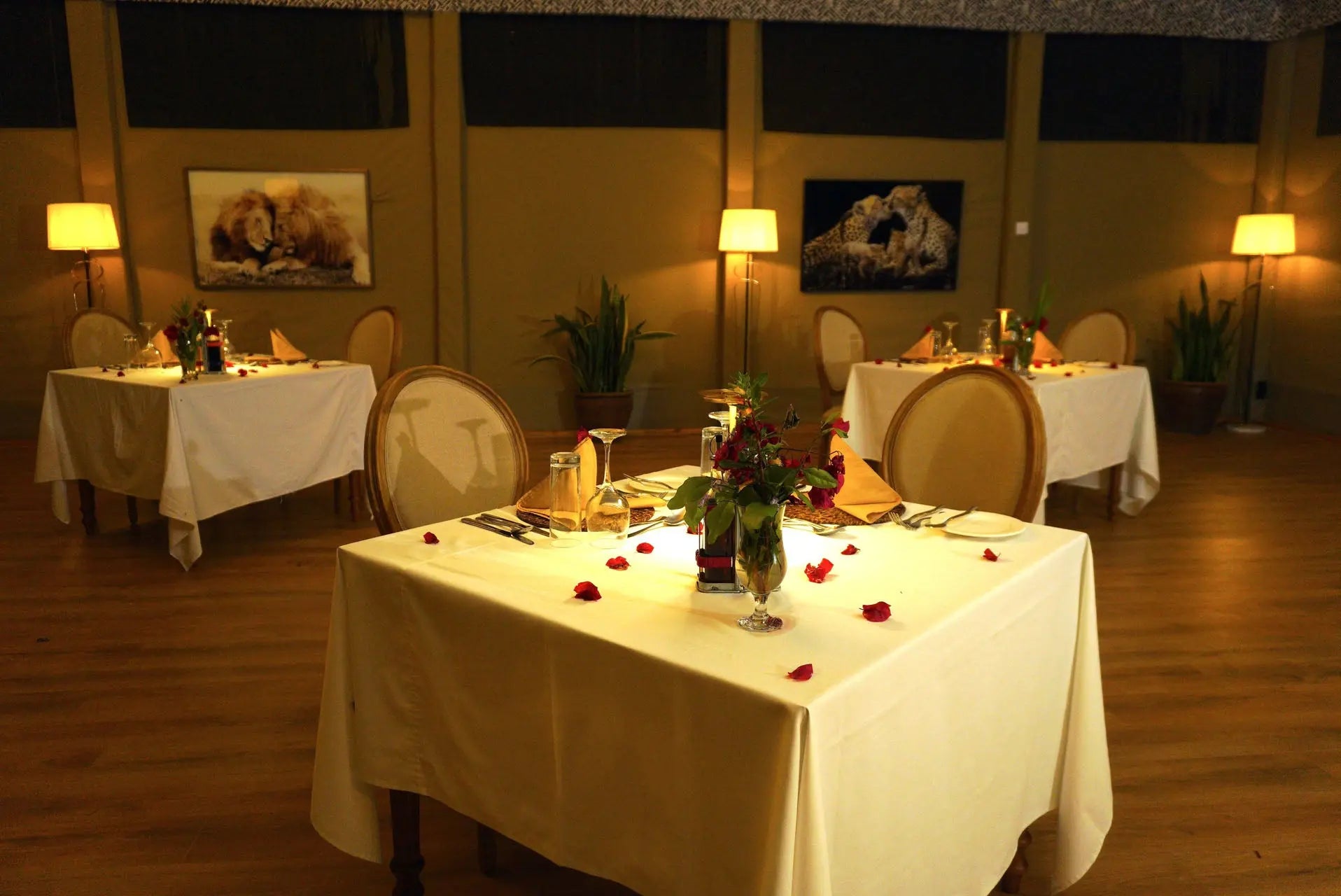 Zebra Mara Lemek Kenya Safari  – Premium Luxury - JetLife Vacations Travel Agency