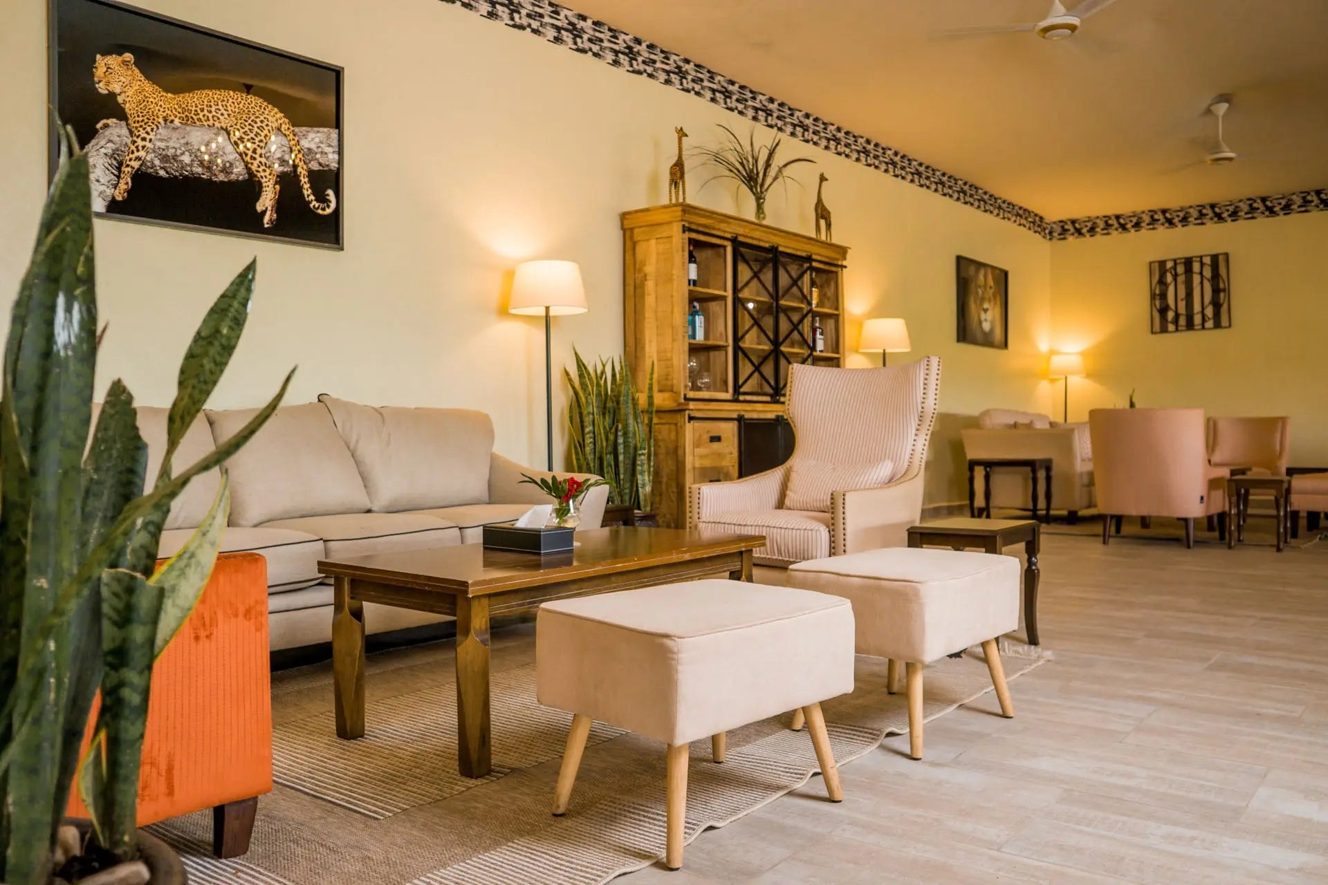 Zebra River Camp – Luxury | JetLife x Rob The Ranger JetLife Vacations Travel Agency