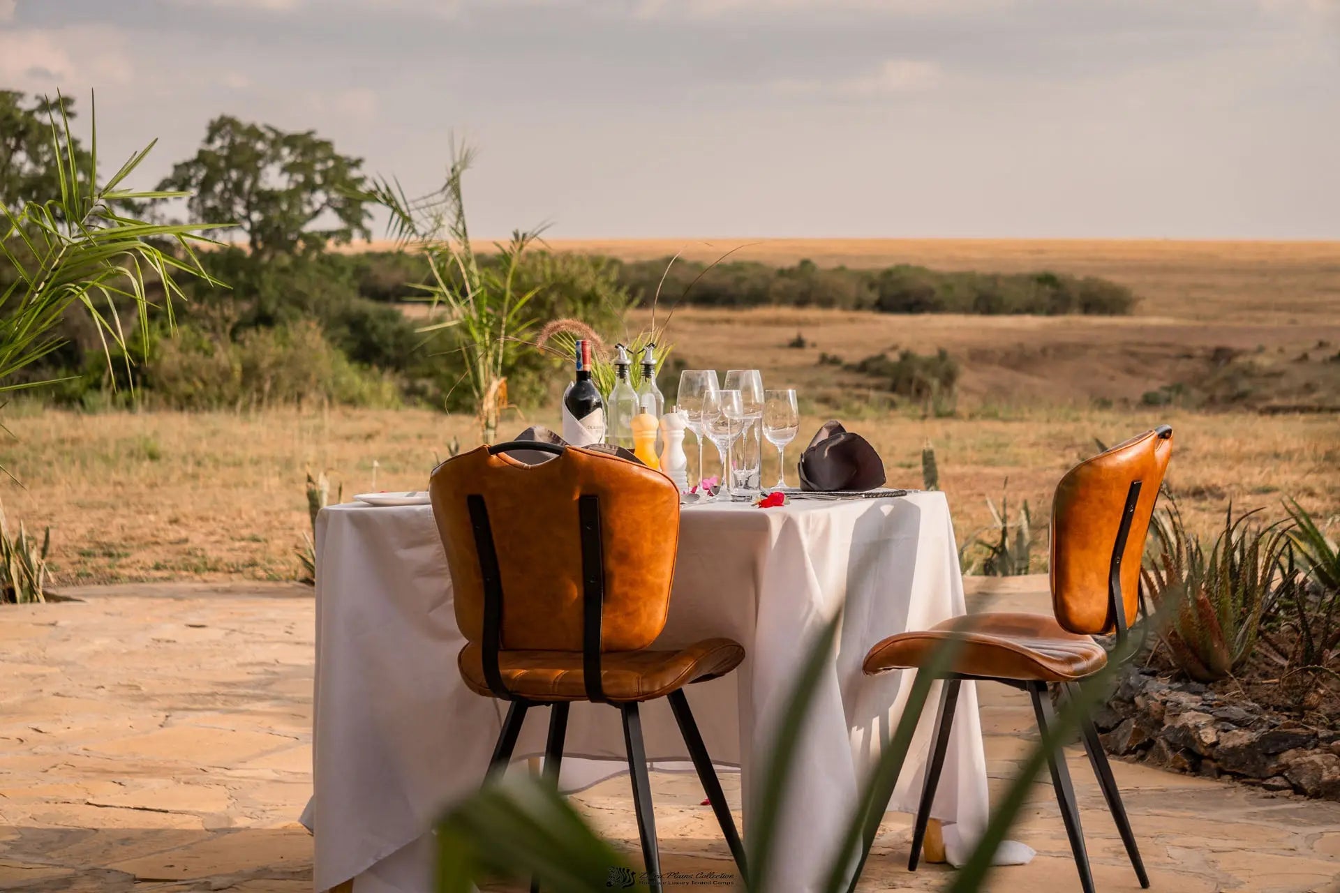 Royal Zebra River Safari Lodge Kenya Safari – Premium Luxury - JetLife Vacations Travel Agency