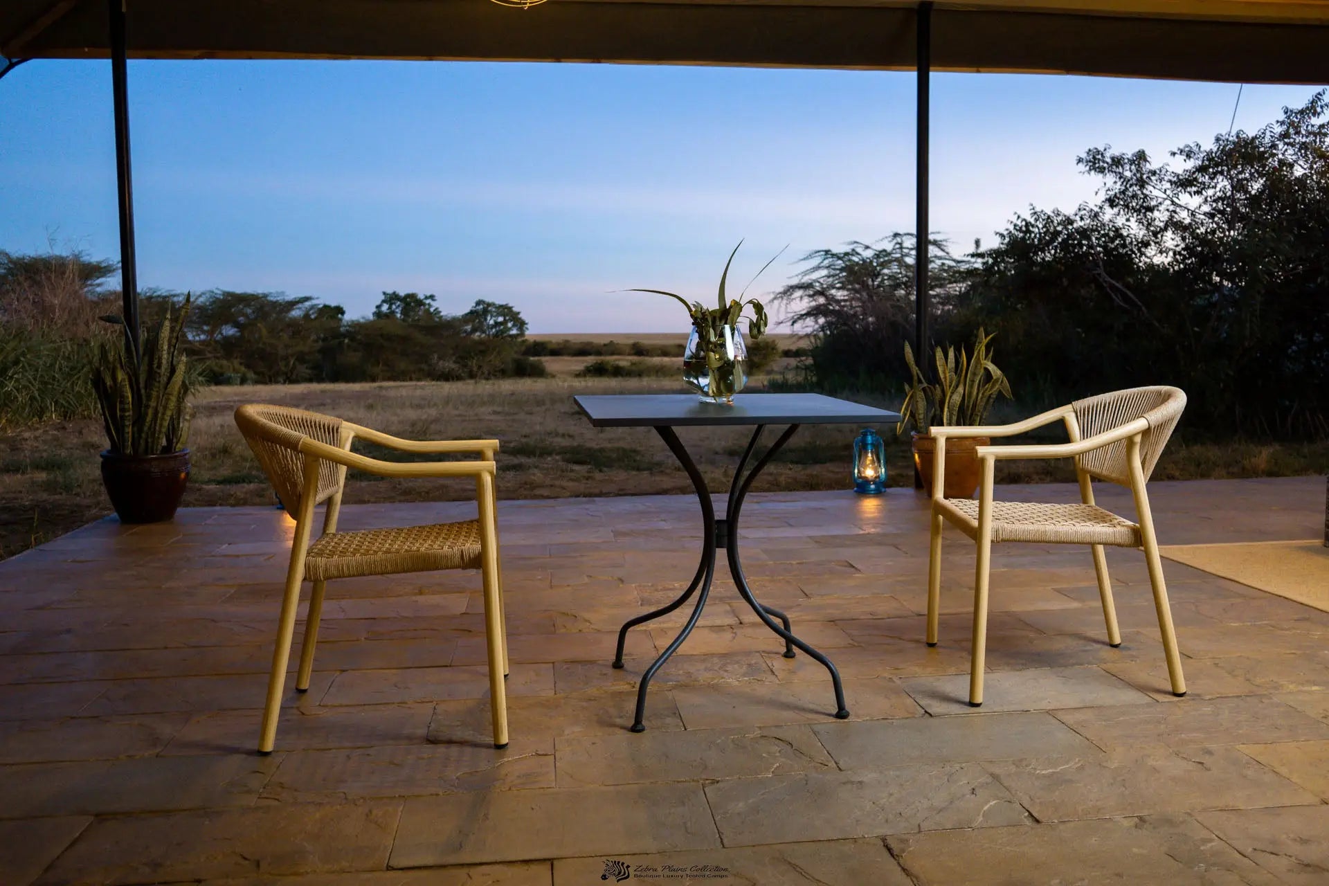 Royal Zebra River Safari Lodge Kenya Safari – Premium Luxury - JetLife Vacations Travel Agency