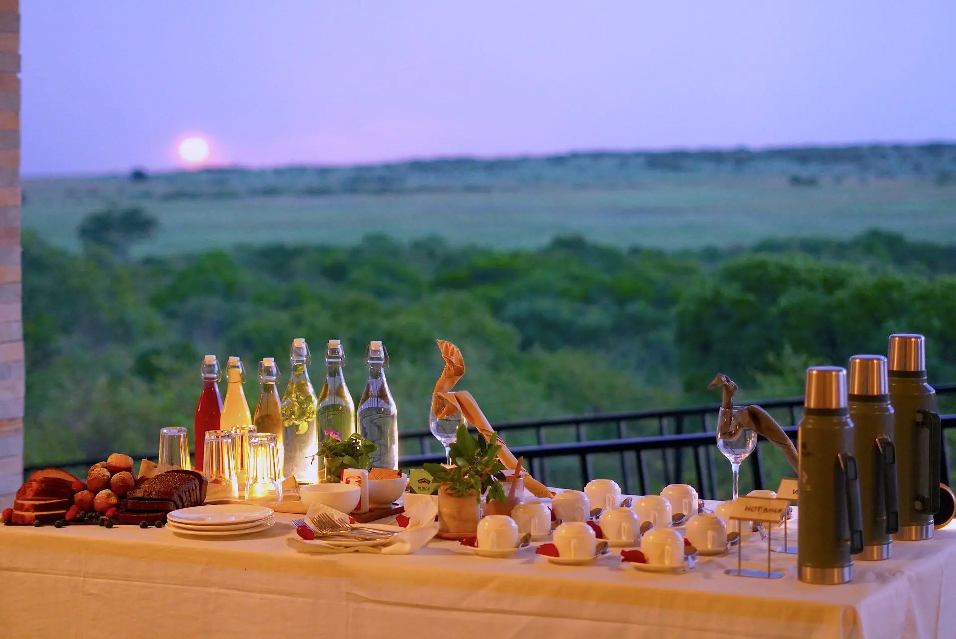 Zebra Valley Mara – Luxury |JetLife X Rob the Ranger Experience JetLife Vacations Travel Agency