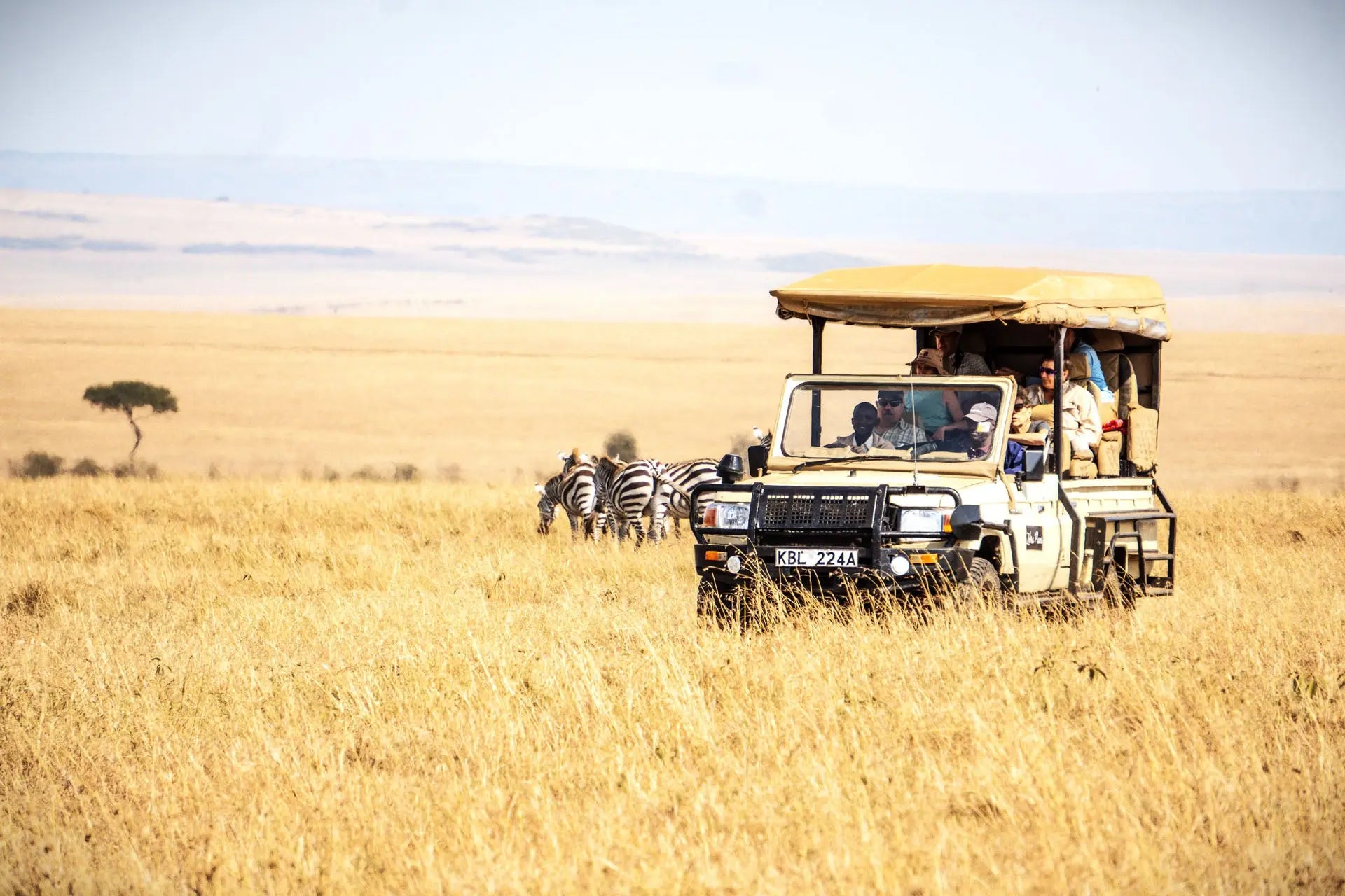 Little Zebra River – Luxury Boutique - JetLife Vacations Travel Agency