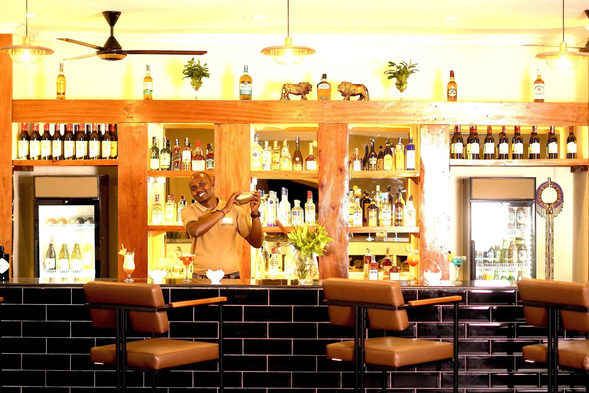 Zebra Valley Mara – Luxury |JetLife X Rob the Ranger Experience JetLife Vacations Travel Agency