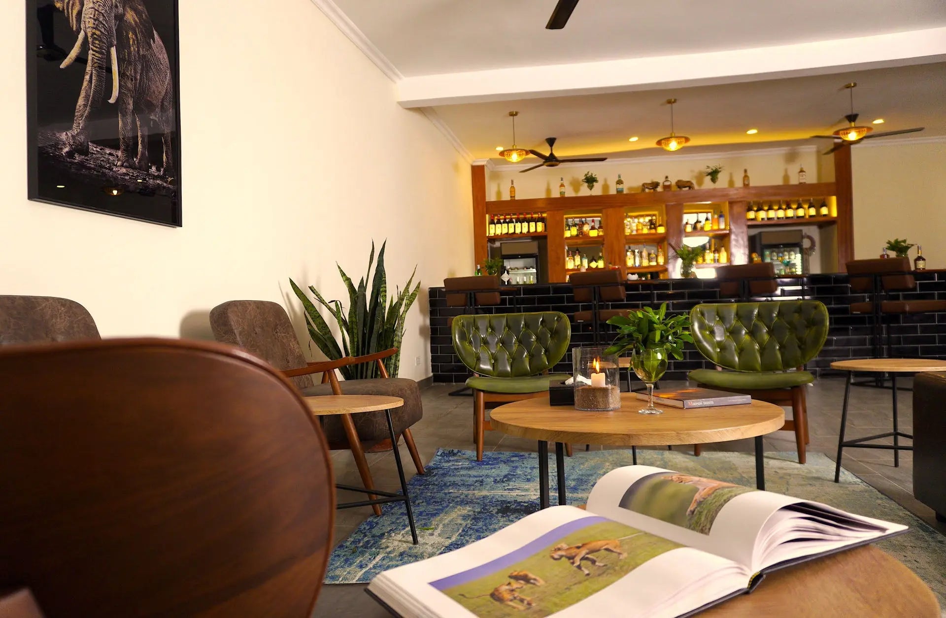 Zebra Valley Mara – Luxury |JetLife X Rob the Ranger Experience JetLife Vacations Travel Agency