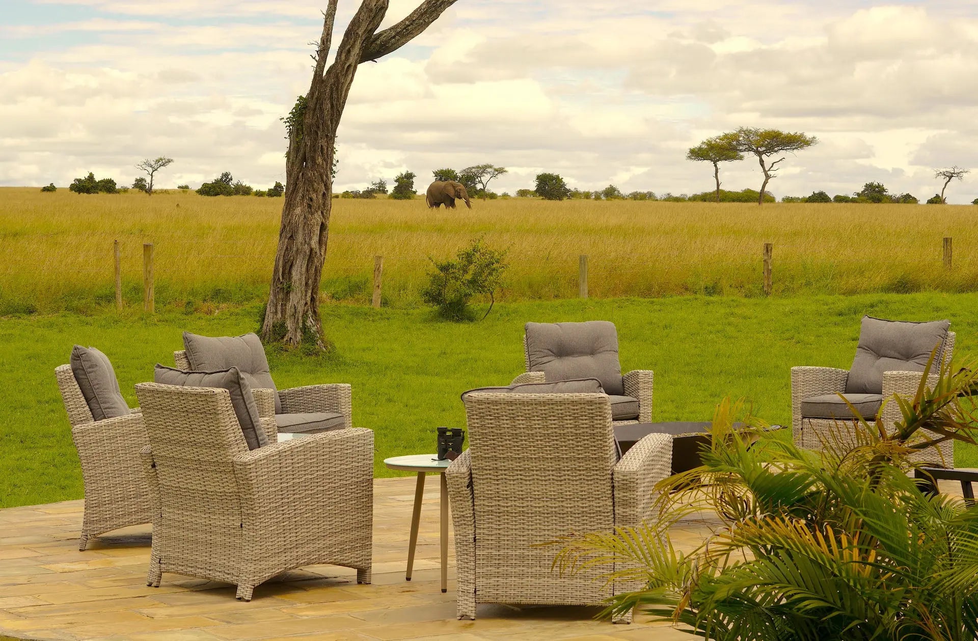 Zebra Mara Lemek Kenya Safari  – Premium Luxury - JetLife Vacations Travel Agency