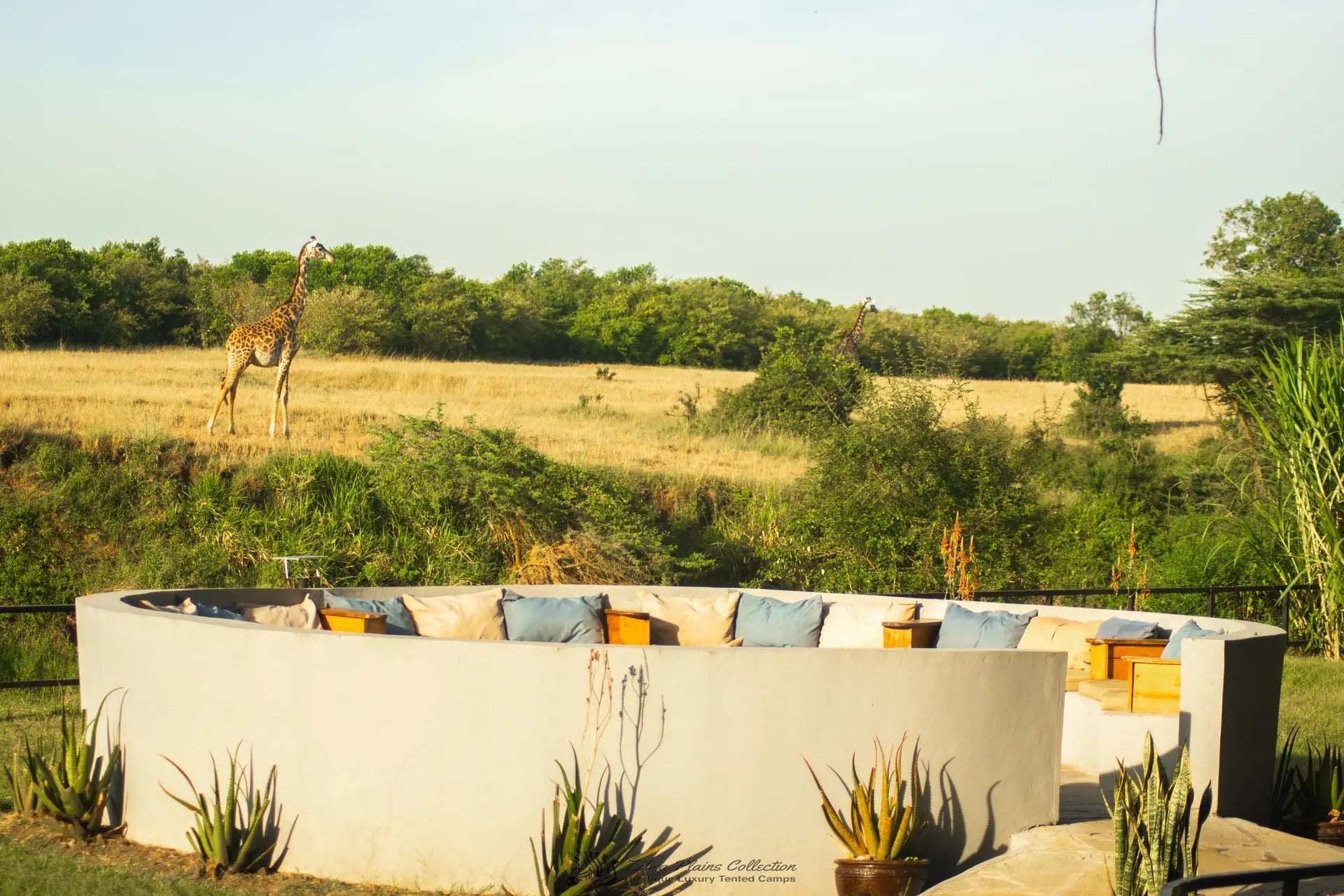 Zebra River Camp – Luxury | JetLife x Rob The Ranger JetLife Vacations Travel Agency