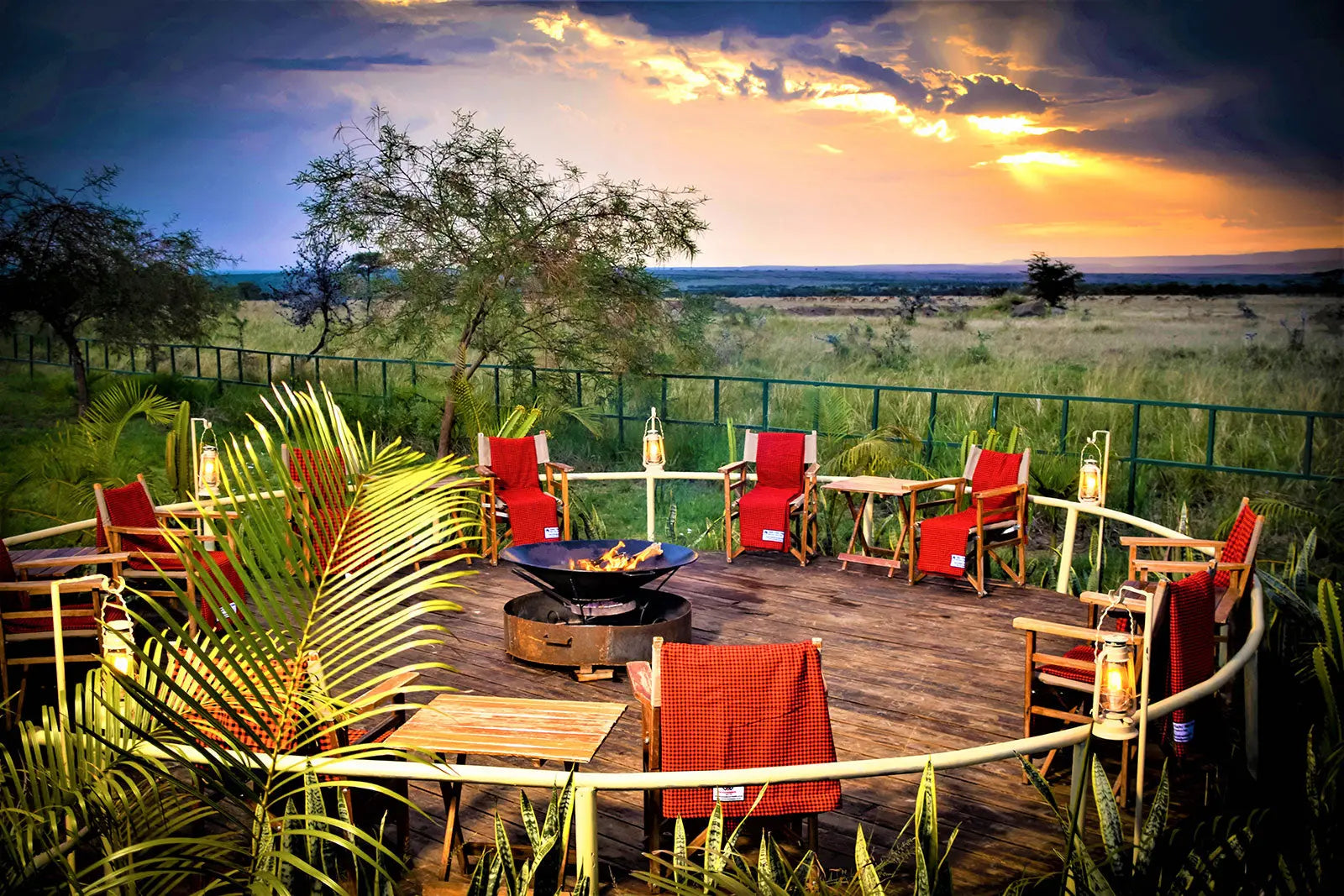 Zebra Plains Mara Camp – JetLife x Rob The Ranger JetLife Vacations Travel Agency