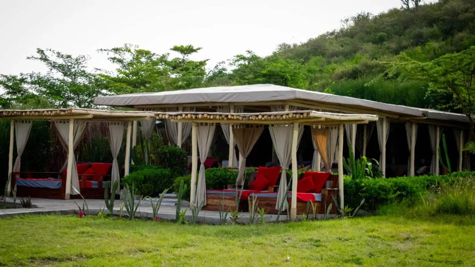 Zebra Plains Mara Camp – JetLife x Rob The Ranger JetLife Vacations Travel Agency