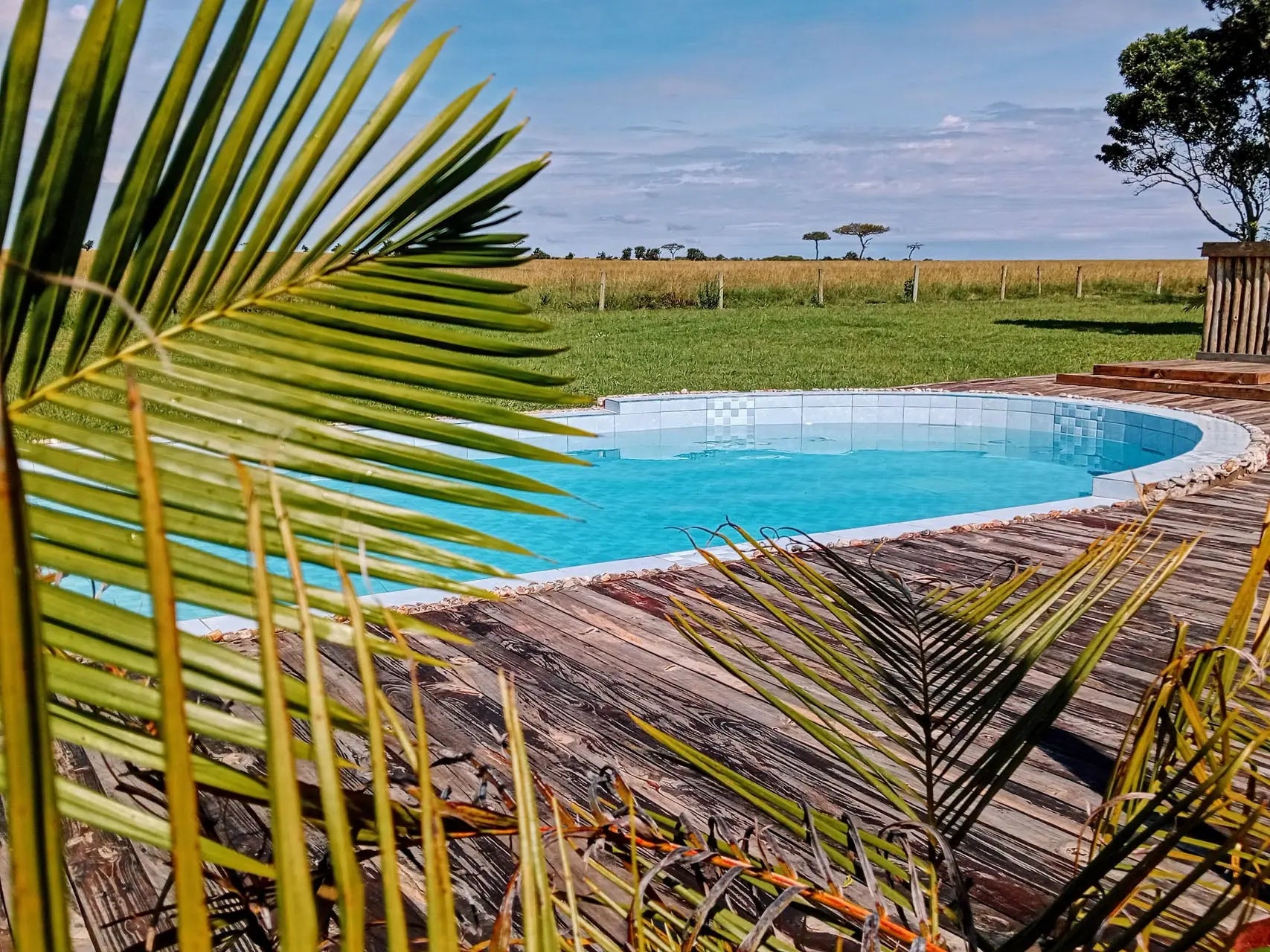 Zebra Mara Lemek Kenya Safari  – Premium Luxury - JetLife Vacations Travel Agency