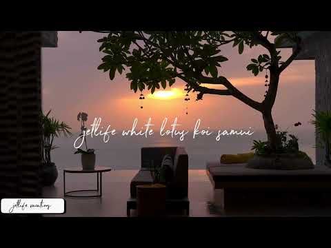 JetLife Vacations Travel Agency