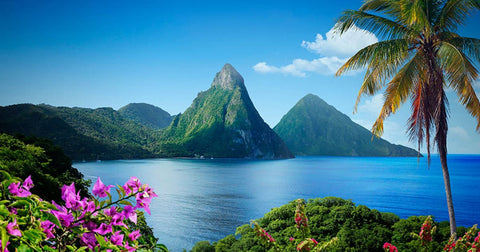 FEBRUARY 13TH 2025 | St. Lucia